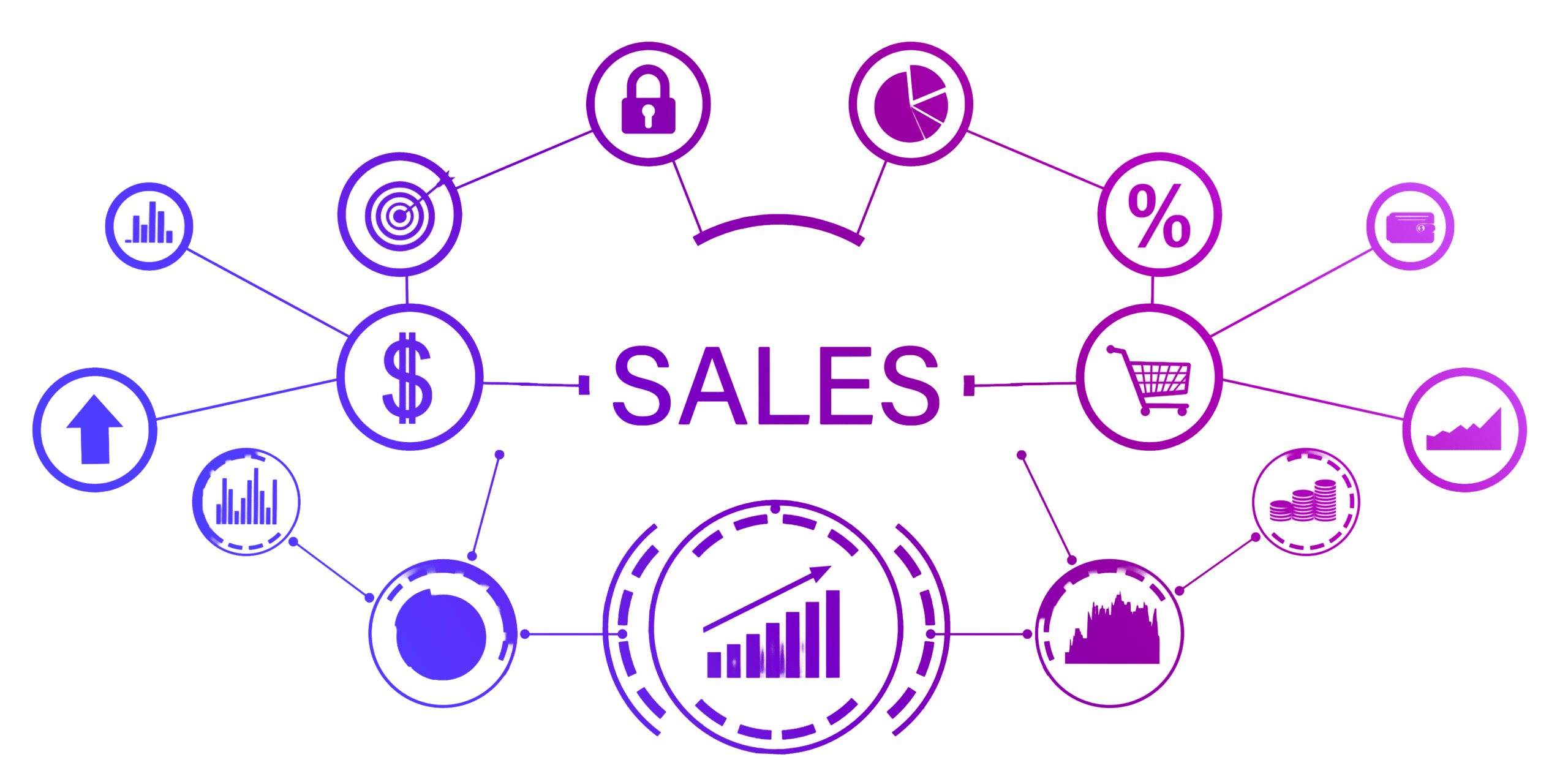 The Challenge: Managing Two Digital Sales Channels